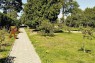 Митрополичі сади собору св. Юра