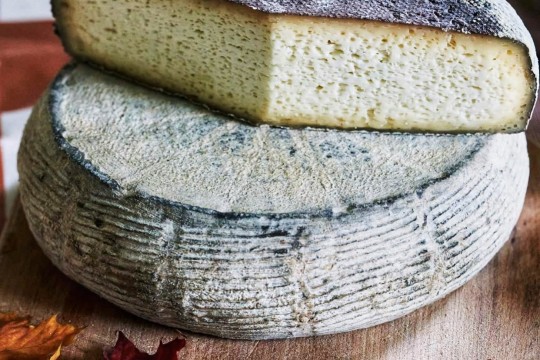 Відпочинок в Карпатах: Від Славська до Трускавця