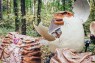 Гора Камула, парк розваг Уруру + малинове вино