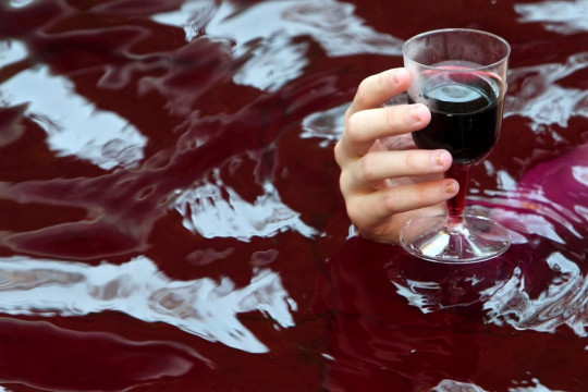 Термальні води Косино і вино