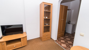 /upload/rooms/230/standart-villa-kameliya-truskavec2.jpg