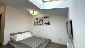 /upload/rooms/446/mansardnyy1.jpg